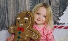 Josie Davidson picture wearing pink and red pajama's holding a gingerbread man teddy.