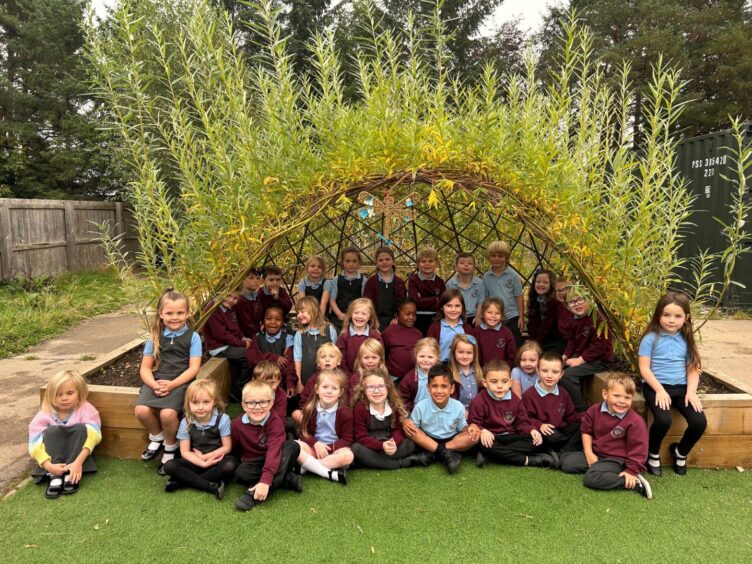 Alford Primary School's P1 with Mrs Harper and P1-2 with Miss Logan outside sitting under a plant dome
