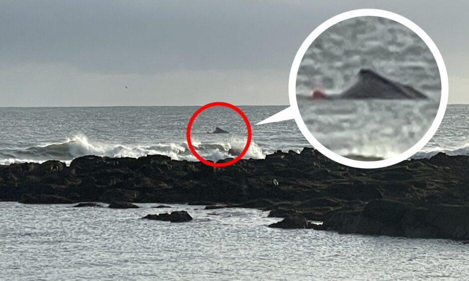 Boat capsizes in Stonehavan Harbour.