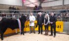Last year's overall champion from Gordie Begg, sold for £3,000 to Mackay’s Hotel, Wick.
