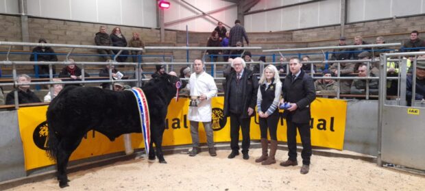 Last year's overall champion from Gordie Begg, sold for £3,000 to Mackay’s Hotel, Wick.
