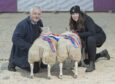 John Guthrie from Cuiltburn stood supreme champion in the lambs with a pair of home-bred, three-quarter Beltex.