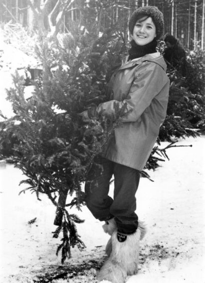 A woman carrying a christmas tree through the snow
