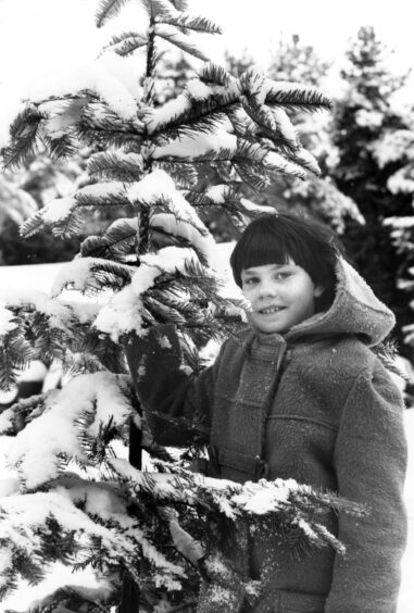 A child standing next to a christmas tree