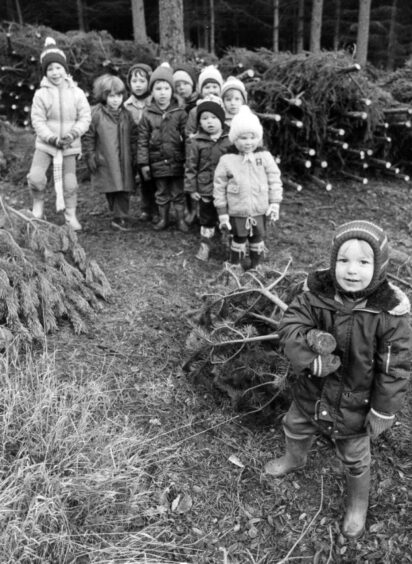 A group of children at Kirkhill Forest, one child is at the front holding the base of a Christmas tree