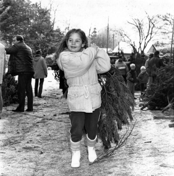 A girl holding a small Christmas tree from Kirkhill Forest