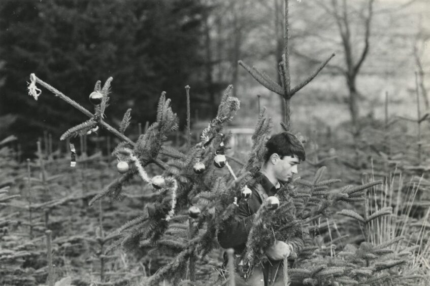 A man carrying a christmas tree with an array of baubles on it through the forest