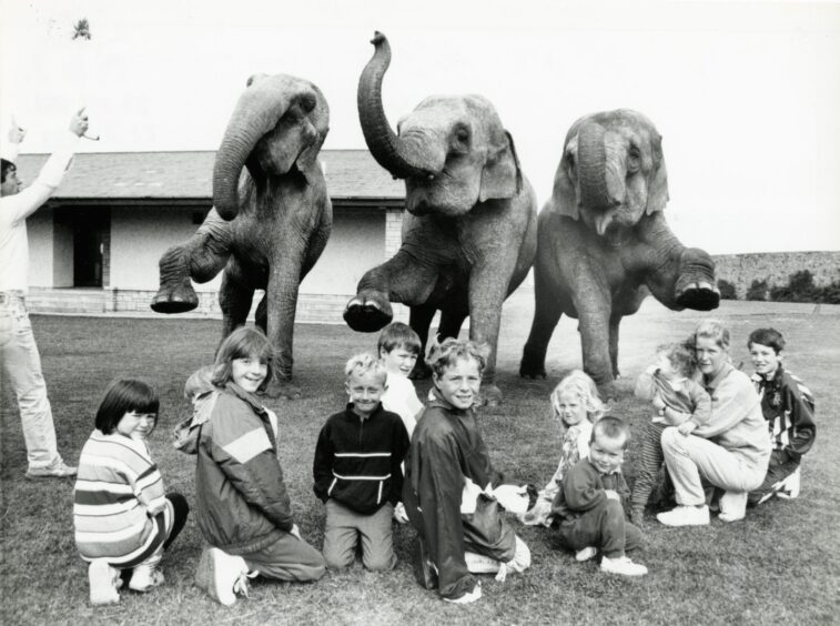 Local children get an unlikely meeting with Circus Elephants. Supplied by DCT Archives.