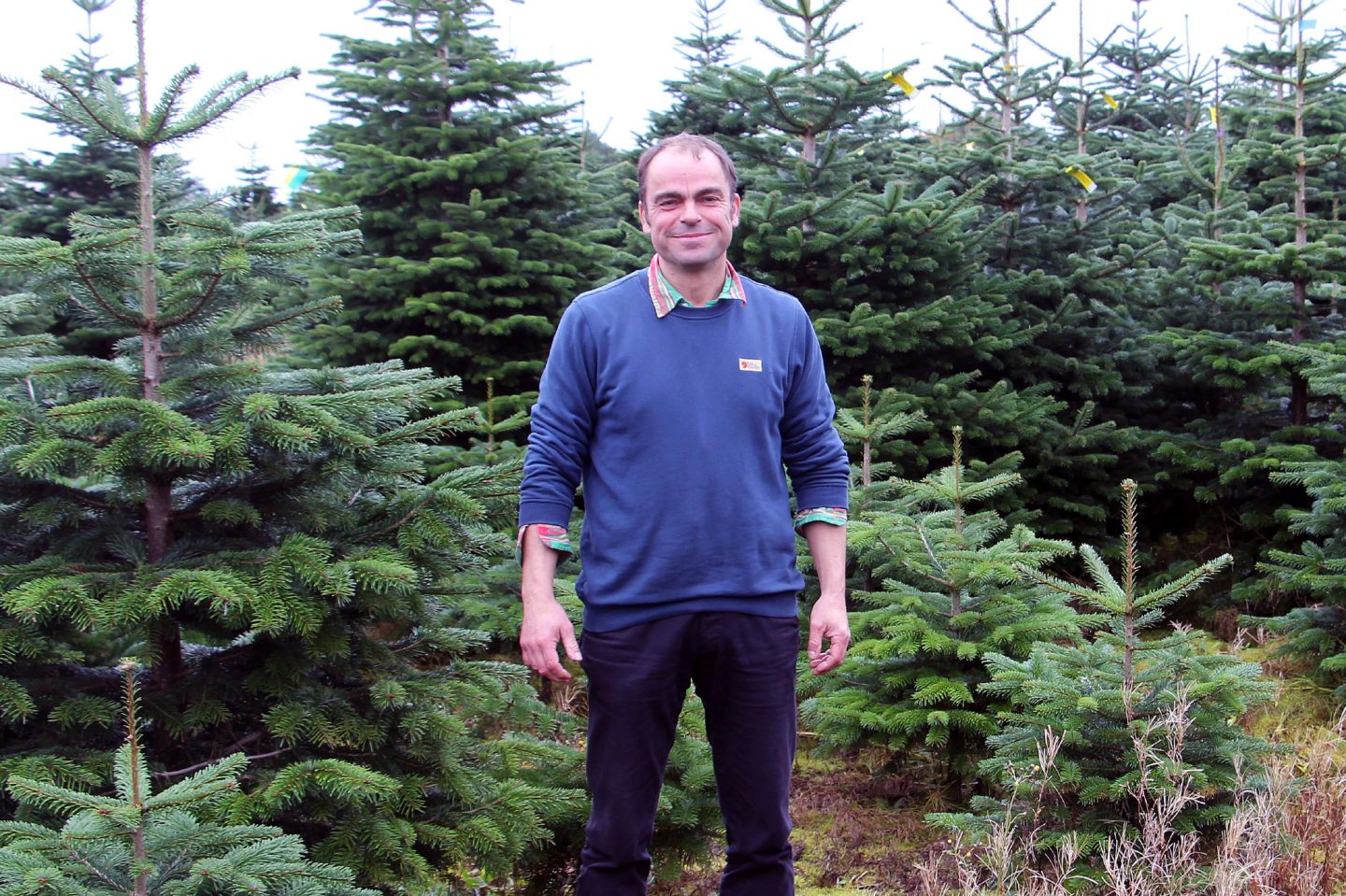 11 places to buy real Christmas trees from Aberdeen to Inverness