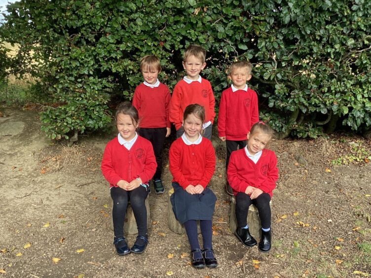 Two rows of three P1 pupils at Drumblade School, pictured outside with greenery behind them.