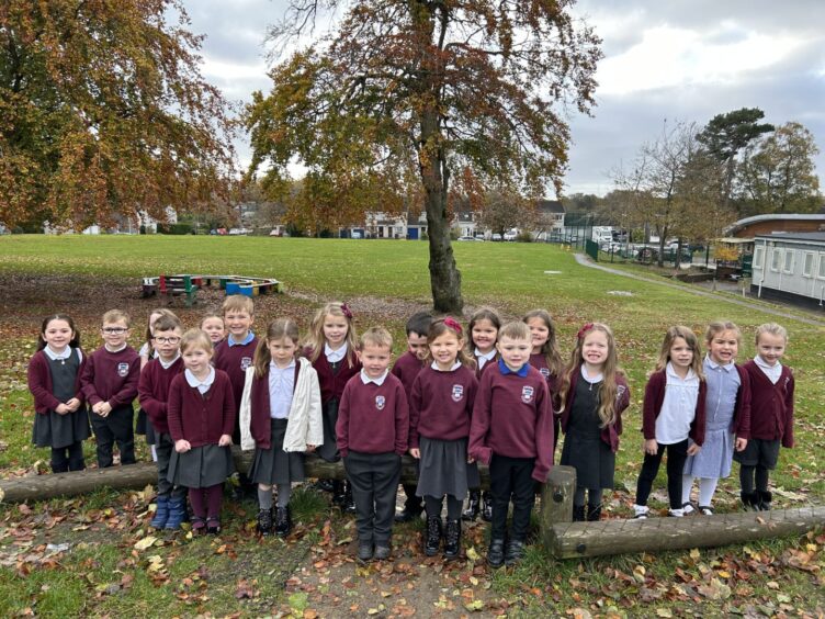 Class P1S standing in rows on the grass in the playground at Elrick Primary School