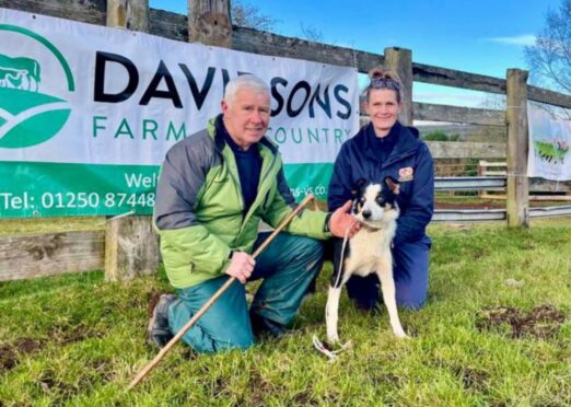 George Simpson with his sale leader and auctioneer Helen Rickard.