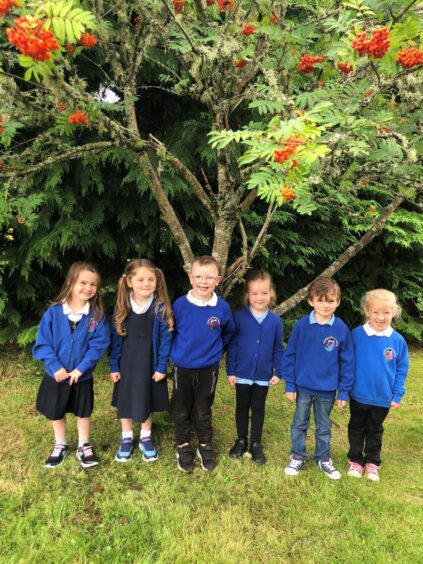 Gledfield Primary School's P1 class with six pupils standing under a tree outside