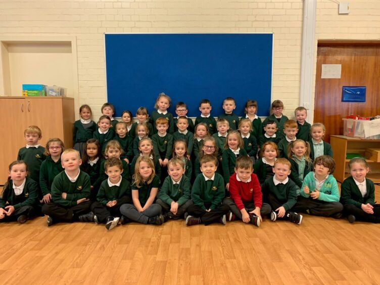 First class of 2023 at Gordon Primary School in Aberdeenshire, arranged in four long rows 