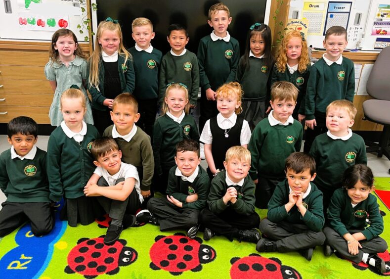 Class P1A at Greenbrae School in three rows in their classroom, a rug with ladybugs underneath them