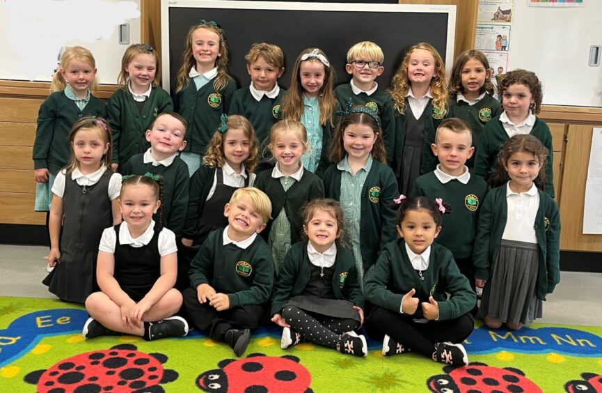 Class P1B at Greenbrae School. They are arranged in three rows with a ladybug print rug