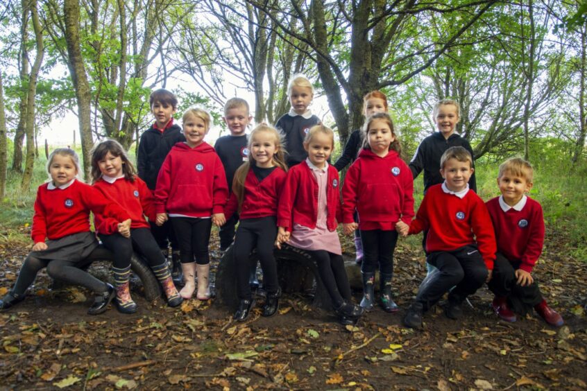 First class of 2023 at Hilton of Cadboll Primary School in the highlands and islands. The children are in two rows in the woods
