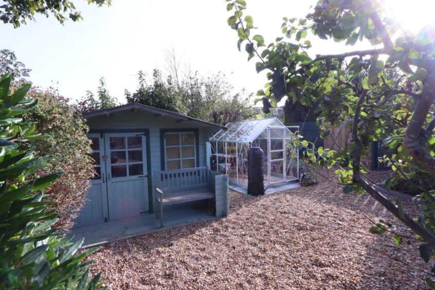 The shed in the garden and a greenhouse