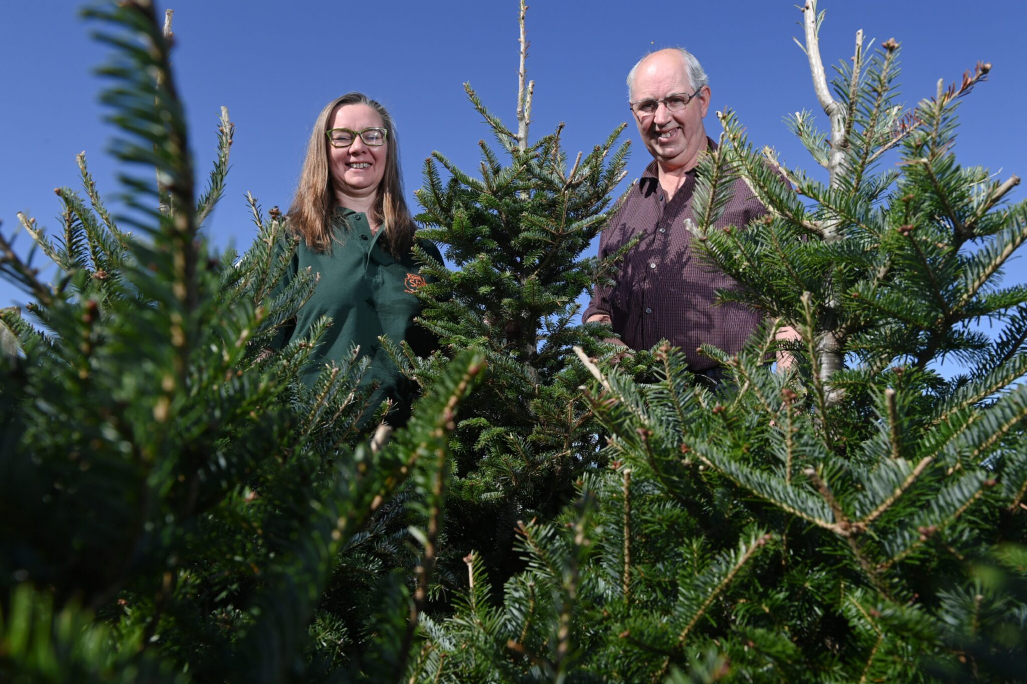 11 places to buy real Christmas trees from Aberdeen to Inverness