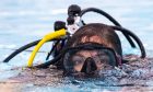 Reporter Rosemary Lowne tries out a beginners scuba diving class in Aberdeen.