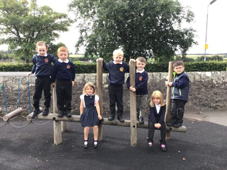 Seven P1 pupils standing and sitting on the playground equipment outside the school