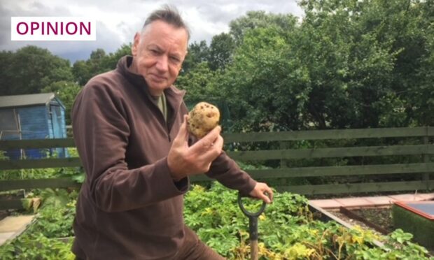 Columnist Campbell Gunn in his allotment, which he says boosts his physical and mental health