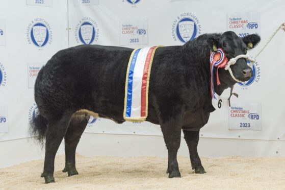Wilson Peters' overall champion sold for £4,800 to Kitson Butchers. Pictures by Ron Stephen.