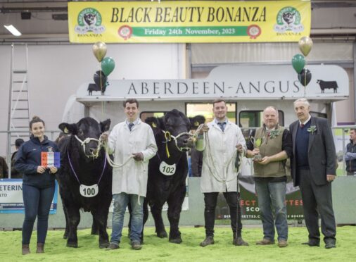 The champion pair of yearlings from Neil and Mark Wattie, Tonley, tapped out by judge David Murray, far right.