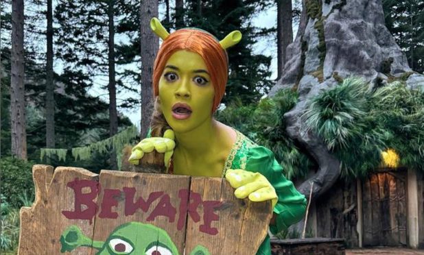 Rita Ora dressed as Fiona at a Shrek-themed Airbnb.