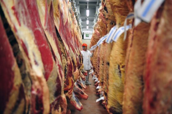 An ABP employee examines carcasses in a cold store at one of the company’s meat processing plants.
