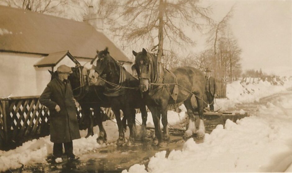 Ewen Fraser with three horses and a snow plough on a snowy path in Gorthleck near Inverness, more than 100 years ago.