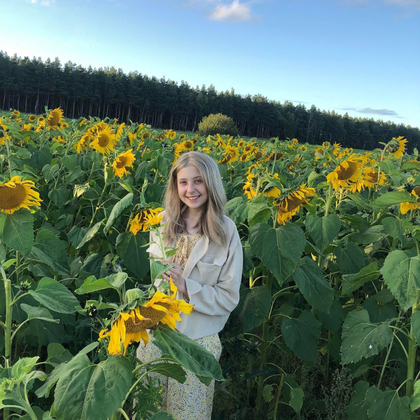 Rachel Suddick standing in a field of sunflowers