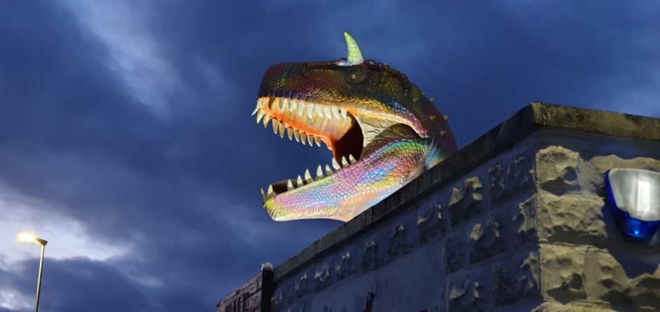 Cullen dinosaur lit up at night.
