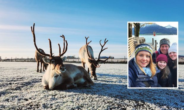 Chris and Elizabeth Irwin pictured with their daughters as their reindeers lie in the snow.
