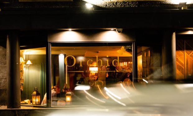 Orchid will close for the final time on Friday. Image Supplied by Conor Gault Photography/ Orchid.