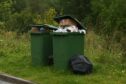 Landfill collections will still be carried out every fortnight - but the new bins will be smaller.