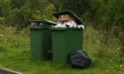 Landfill collections will still be carried out every fortnight - but the new bins will be smaller.