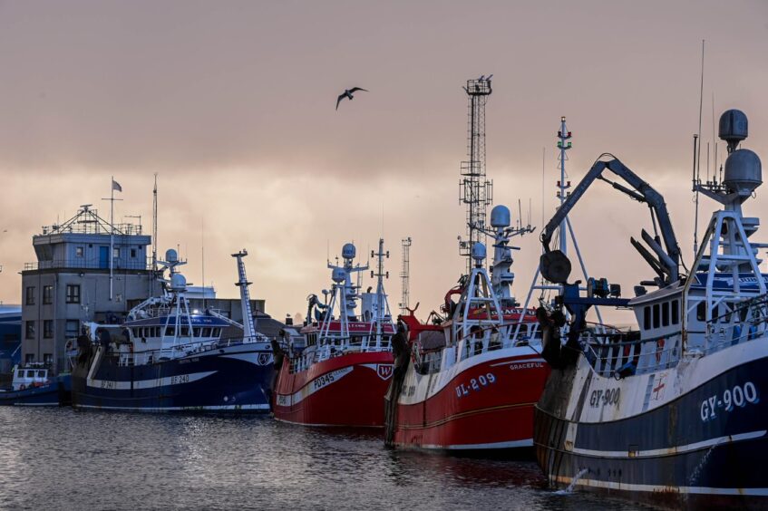 Fishing vessels tied up in port at Peterhead.