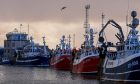 Fishing vessels tied up in port at Peterhead.