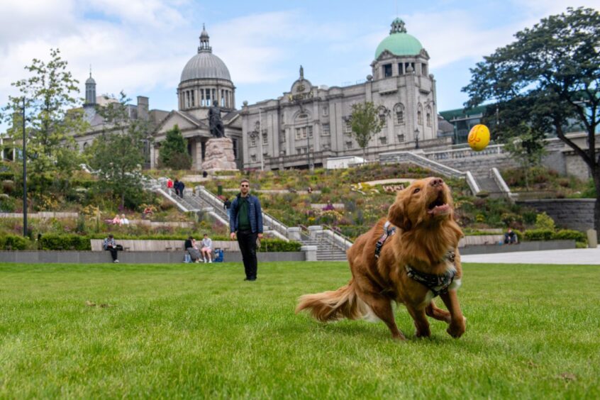 Frieder Reuter with his dog Harrison in Aberdeen's Union Terrace Gardens. Image: Kath Flannery/DC Thomson