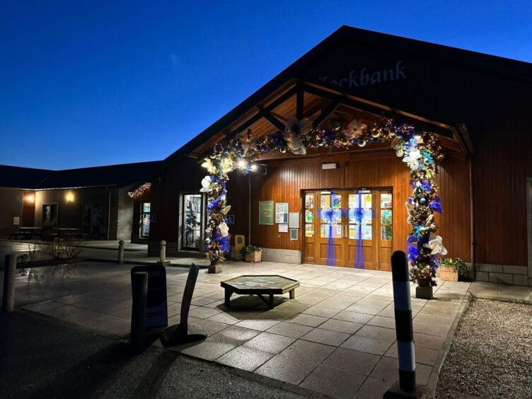 Festive banner outside Kellockbank garden centre 