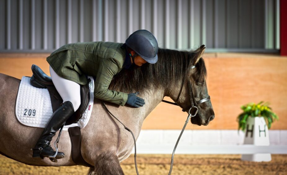 Bell Heather O' The Glens and Louise pictured at the Winter Petplan Area Festival held at Netherton Equestrian.