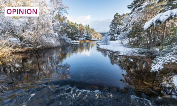 River Luineag flowing into Loch Morlich in Cairngorms National Park. Image: Jan Holm/Shutterstock
