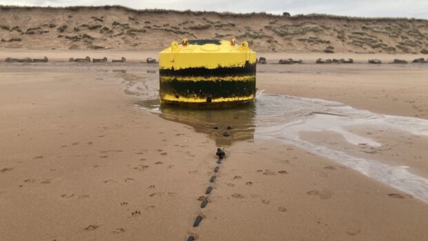 Giant buoy on beach.