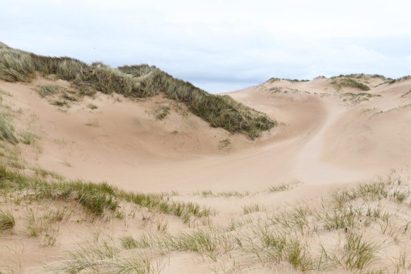 Sand dunes at Forvie National Nature Reserve.
