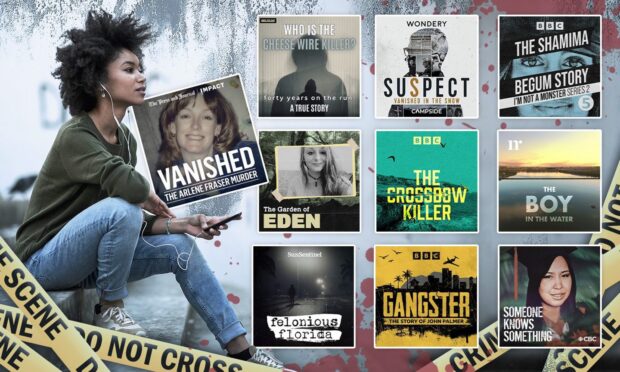 It was another strong year in the world of true crime podcasts.