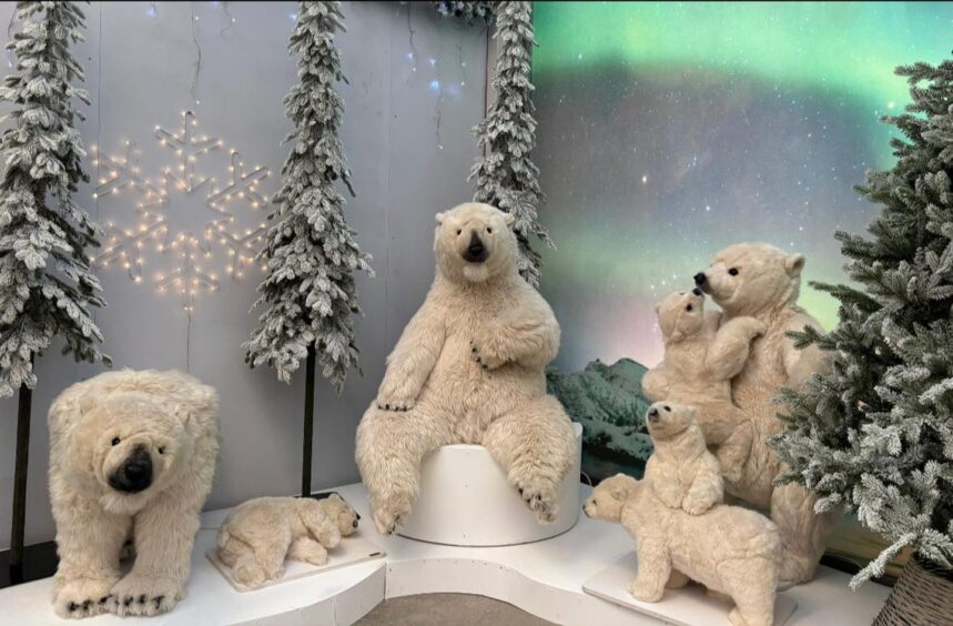 Polar bear Christmas display in Banchory 