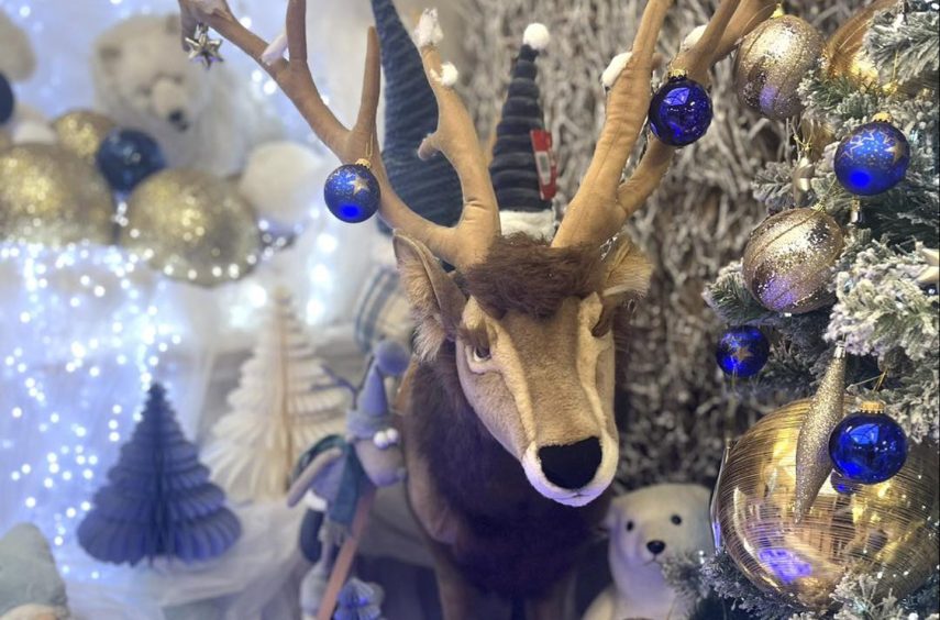 Reindeer Christmas display 