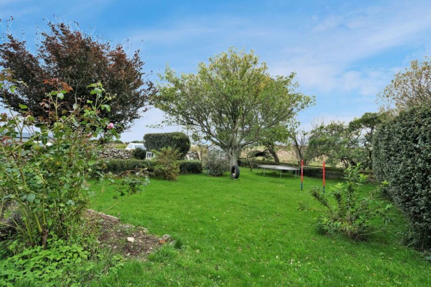 The garden of the country home near Aberdeen, with plenty of grass, trees and greenery. There is a tire swing and trampolin