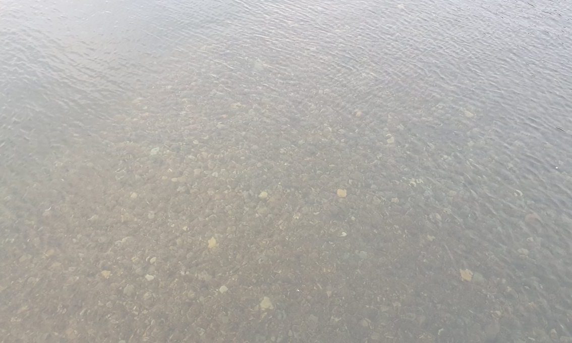 Stones visible under the water in the outer basin of the harbour.